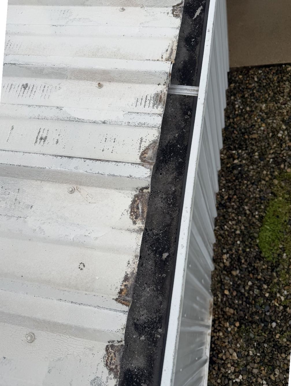 Gutter packed with black decomposed debris and sludge before cleaning